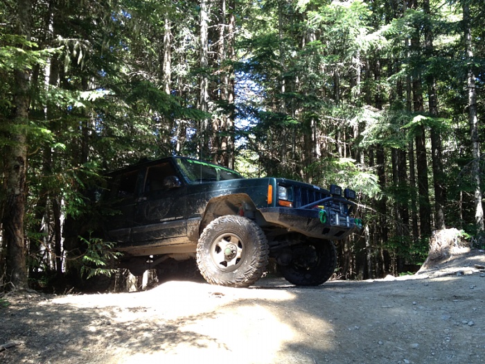 Jeeps in the Wild-image-374539841.jpg