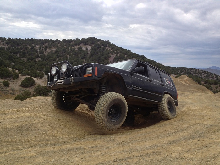 flex pics-image-1795555738.jpg