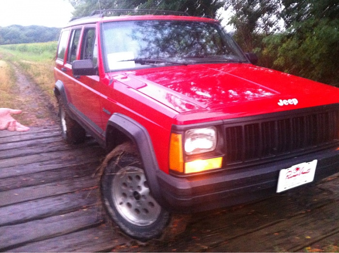 teenage owners post pics-image-443097206.jpg