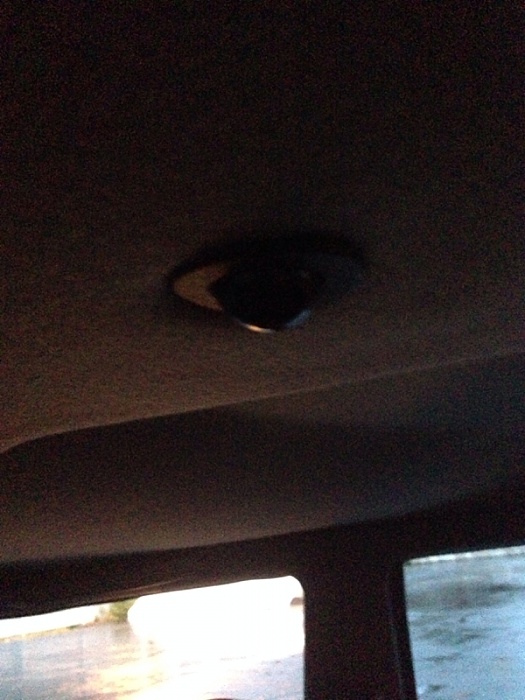 What is this?-image-1132796930.jpg