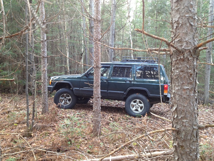 Jeeps in the Wild-image-1280313475.jpg