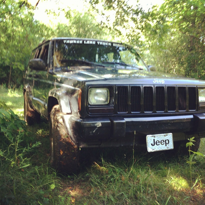 Jeeps in the Wild-image-1905336163.jpg