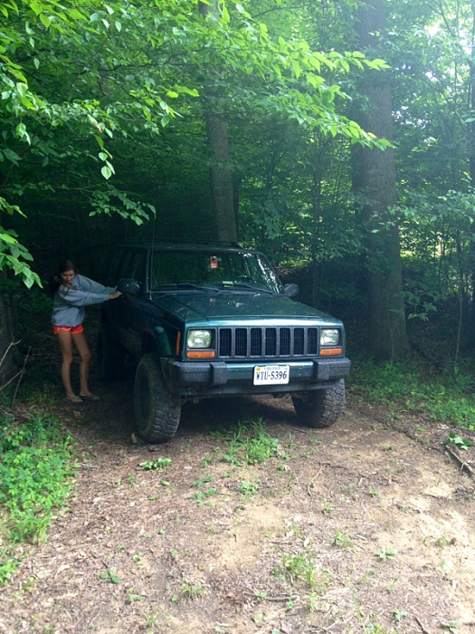 Jeeps in the Wild-image-2692447327.jpg