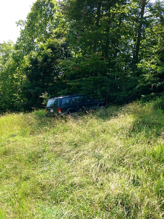 Jeeps in the Wild-image-2166687221.jpg