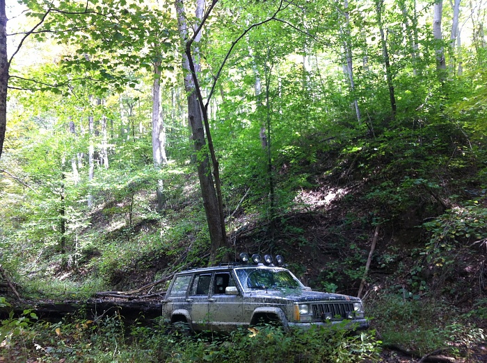 Jeeps in the Wild-img_0811111.jpg