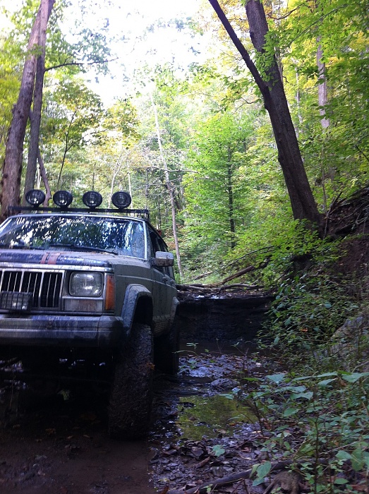 Jeeps in the Wild-img_08141111.jpg