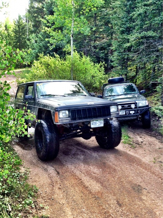 Jeeps in the Wild-image-2418445475.jpg