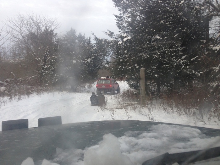 Jeeps in the Wild-image-1860515151.jpg