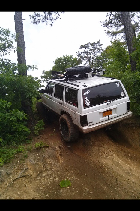 Jeeps in the Wild-018.jpg