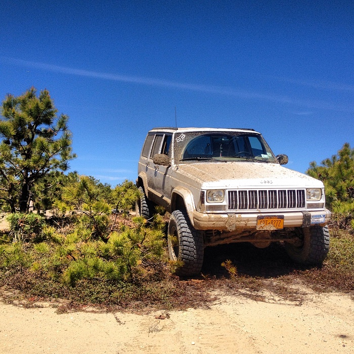 Jeeps in the Wild-065.jpg