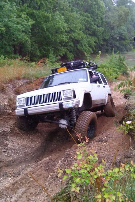 Jeeps in the Wild-096.jpg