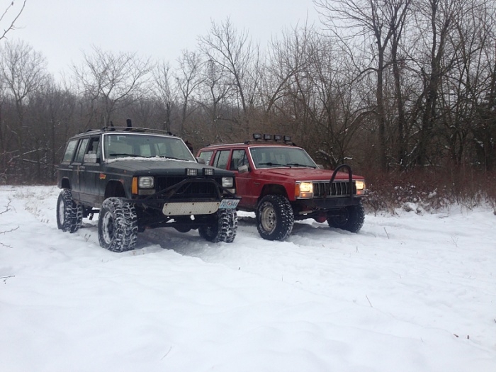 Jeeps in the Wild-image-3772734.jpg