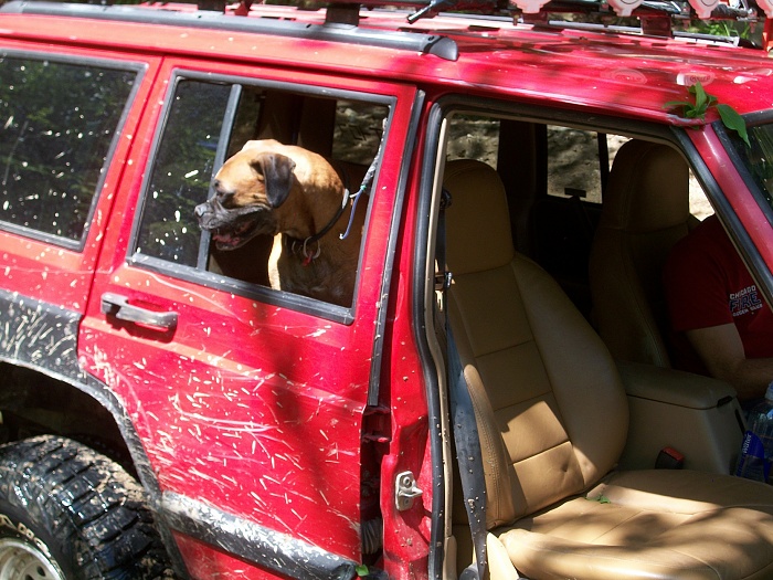 post the favorite picture of your jeep.-464.jpg