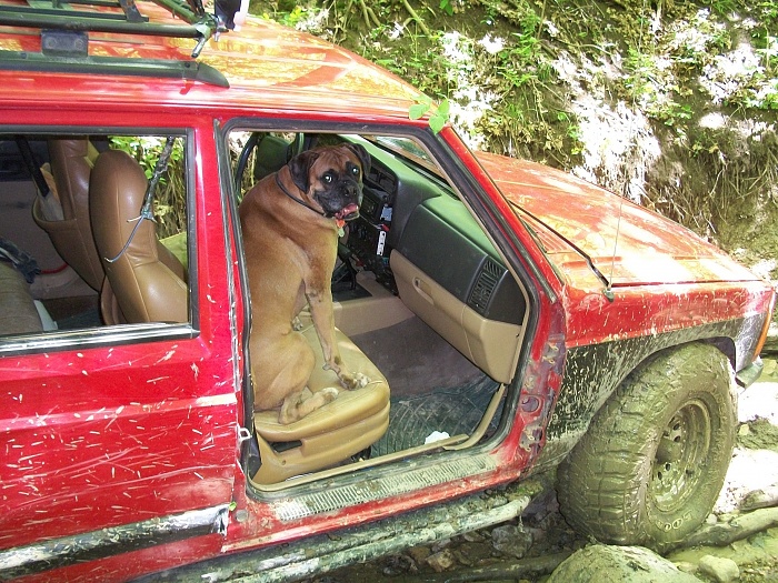 post the favorite picture of your jeep.-474.jpg