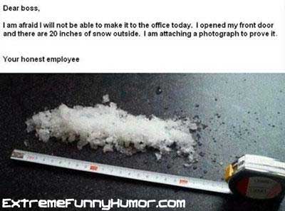 Name:  20_inches_of_snow.jpg
Views: 393
Size:  18.8 KB