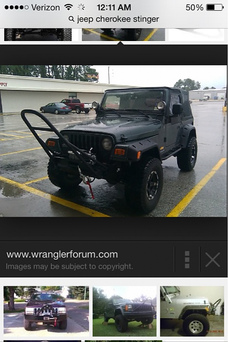 stinger or not?-image-2346333334.jpg