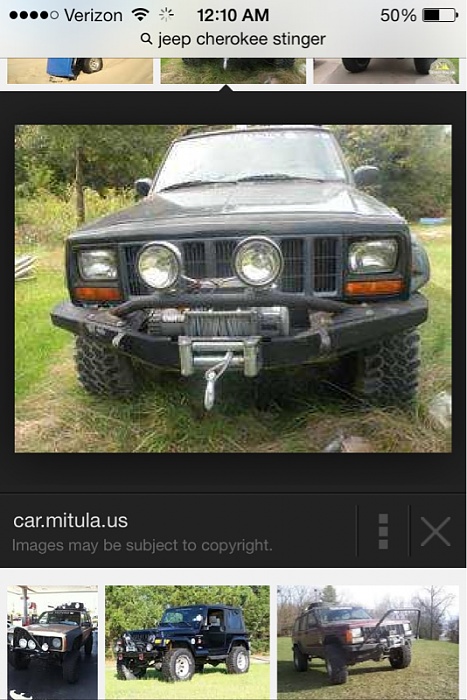 stinger or not?-image-3357389073.jpg