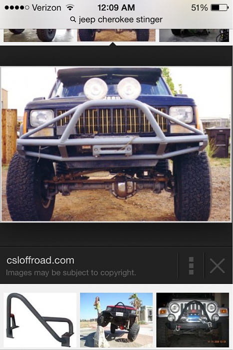 stinger or not?-image-2038746688.jpg