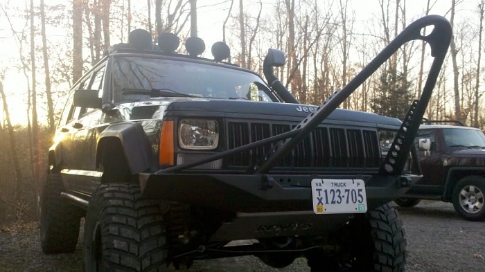 stinger or not?-2011-11-24_16-33-09_88.jpg