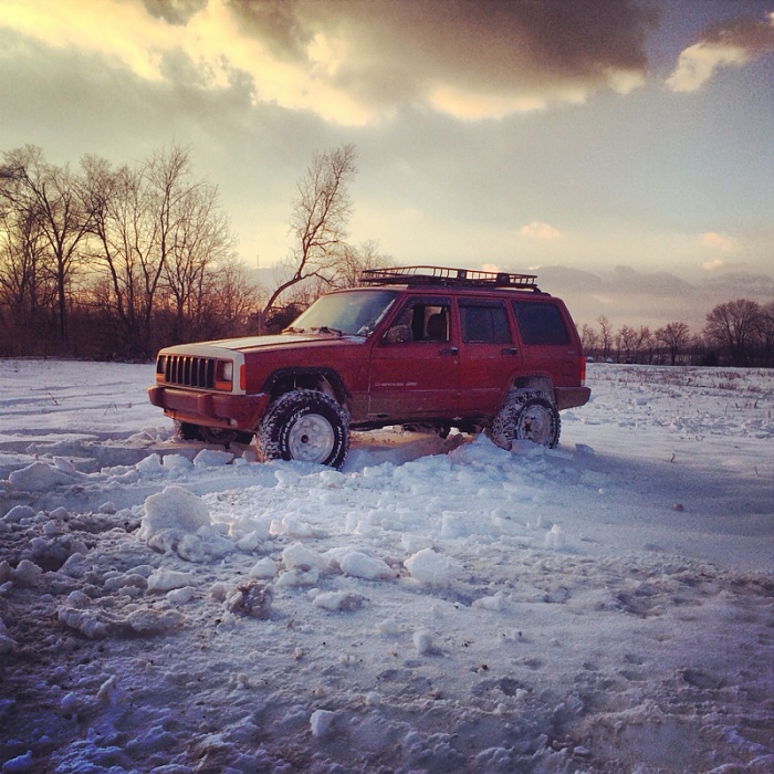 Lets see the playing in the snow pics-image-2779901380.jpg