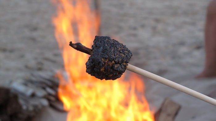 A few technical XJ problems-toasty-mallow.jpg