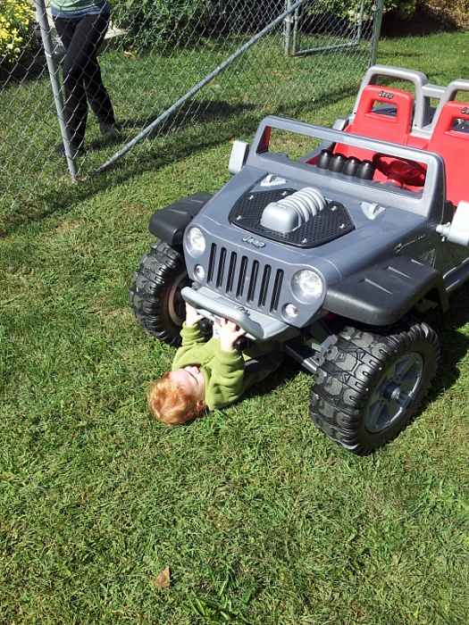 Starting 'em young-image-103978320.jpg