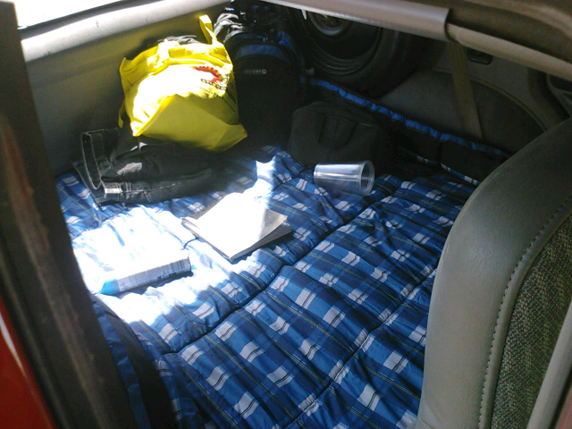 carpet alternitaves-forumrunner_20140420_154855.jpg