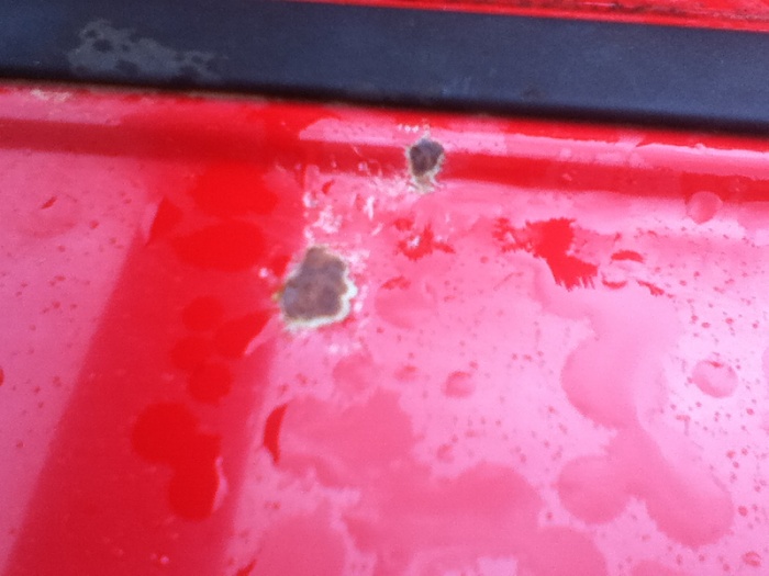 Rust spots - need advice-image-1450761117.jpg