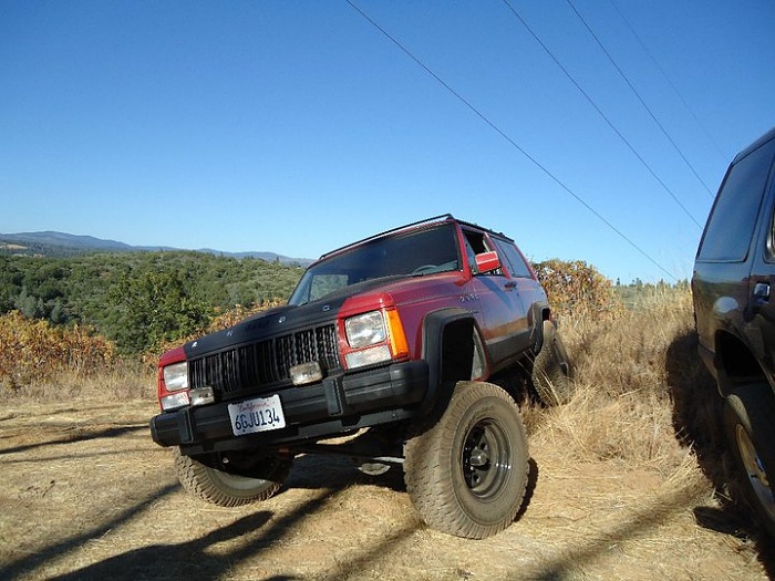 Fun Weekend to Say the Least-flexing.jpg