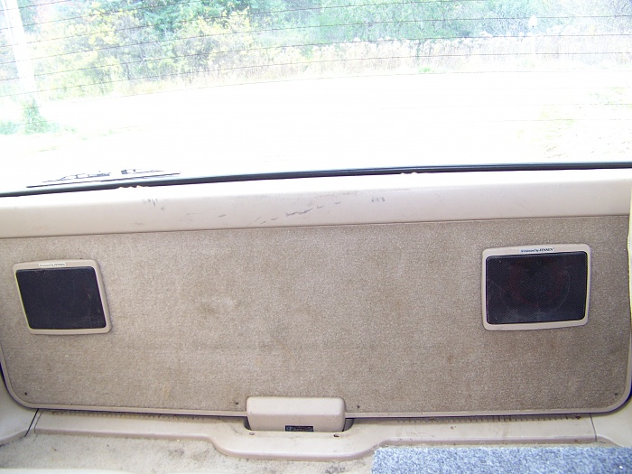rarer interior/exterior stock options?-picture-182.jpg