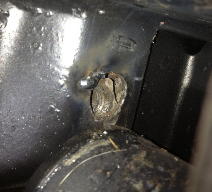 Leaf Eye Broken Nut-img_0688.jpg
