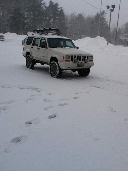 teenage owners post pics-image-3582883239.jpg