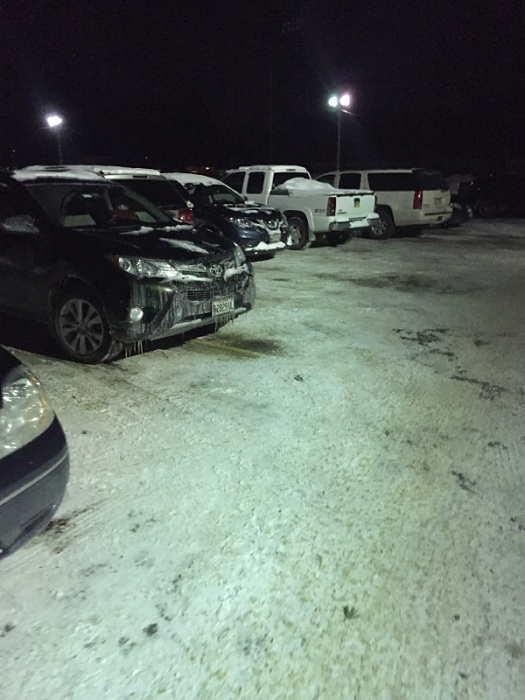 teenage owners post pics-image-3085973638.jpg