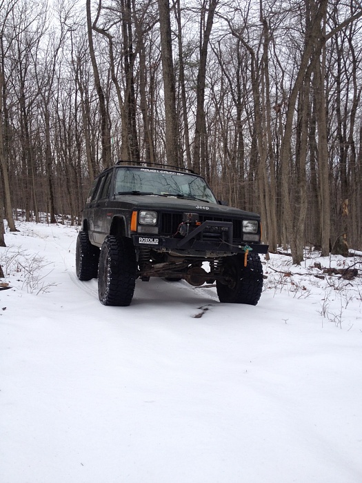 teenage owners post pics-image-3126048861.jpg
