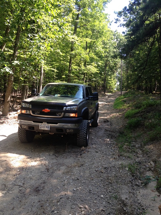 teenage owners post pics-image-3149087462.jpg