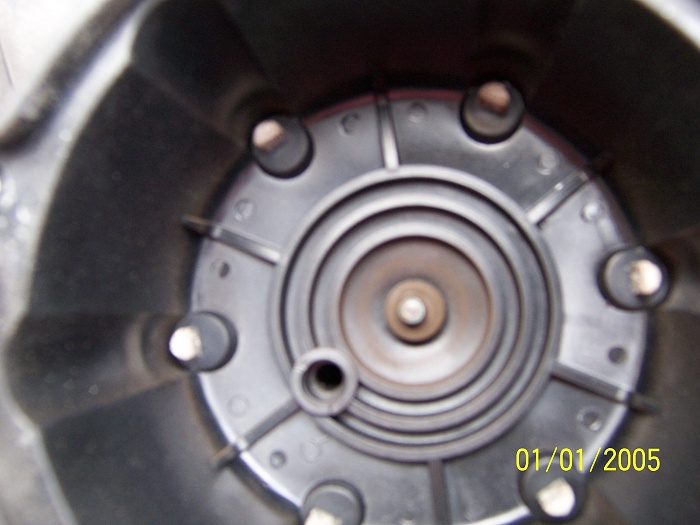 Tune up time-006.jpg