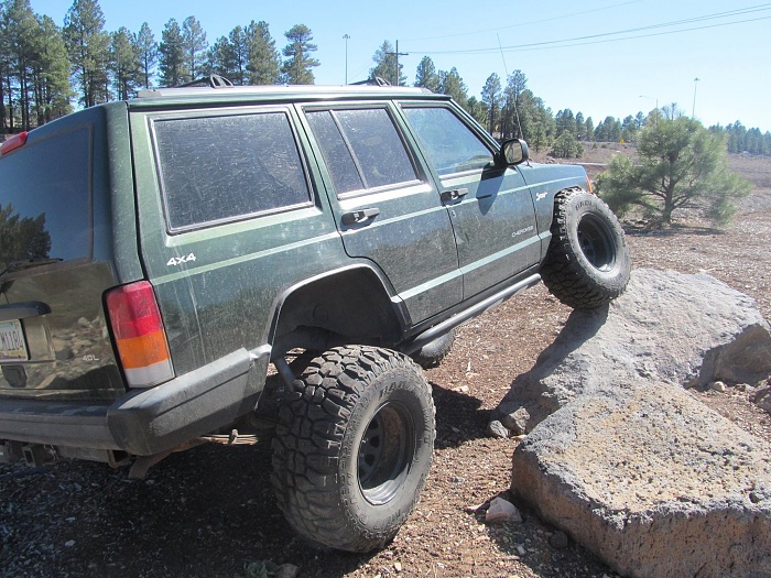 flex pics-flex2.jpg