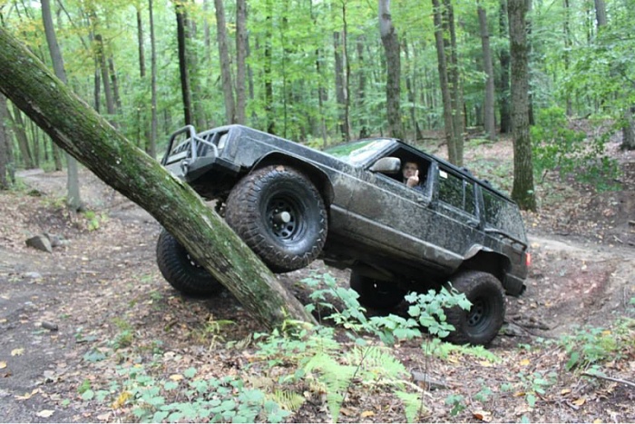 Jeeps in the Wild-image-1035910030.jpg