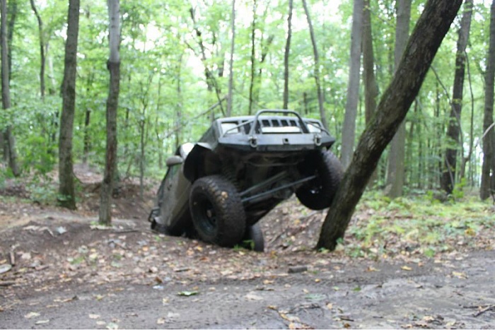 Jeeps in the Wild-image-1274843662.jpg