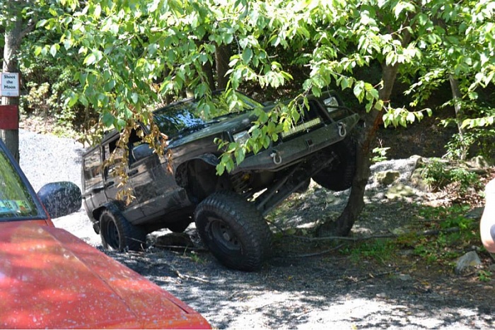 Jeeps in the Wild-image-1201586703.jpg