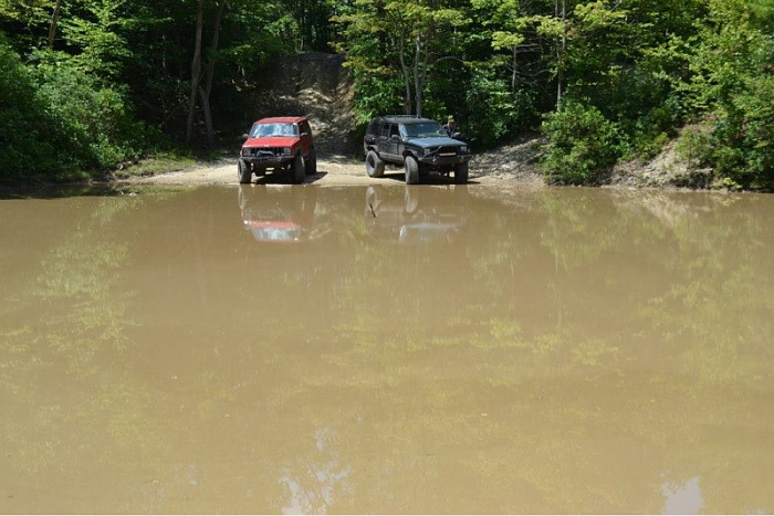 Jeeps in the Wild-image-4255477794.jpg