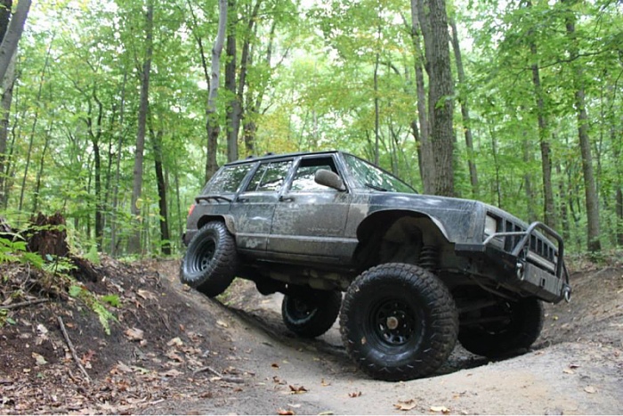 Jeeps in the Wild-image-1305054665.jpg