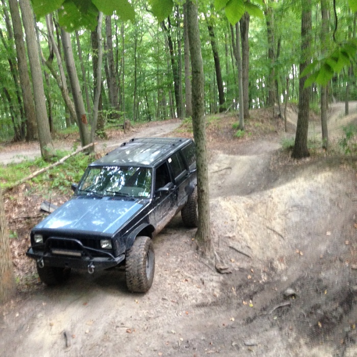 Jeeps in the Wild-image-3037819301.jpg