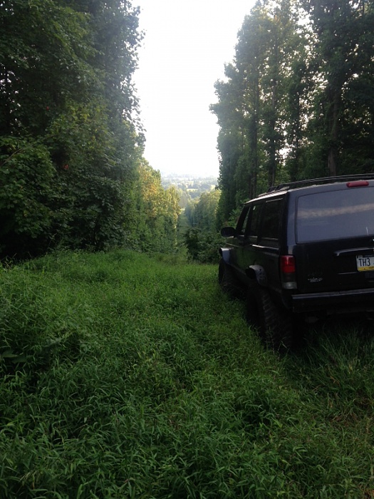 Jeeps in the Wild-image-371681972.jpg