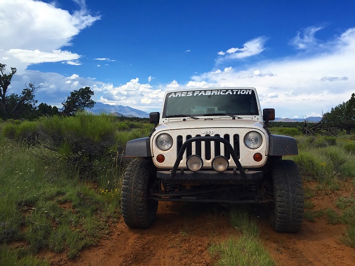 Jeeps in the Wild-image.jpg