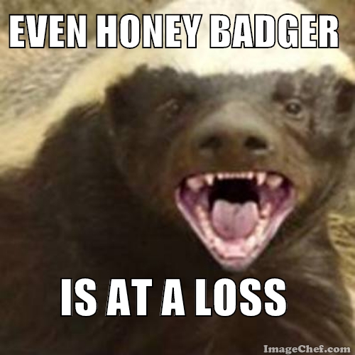 Name:  honey badger at a loss meme.jpg
Views: 878
Size:  122.4 KB