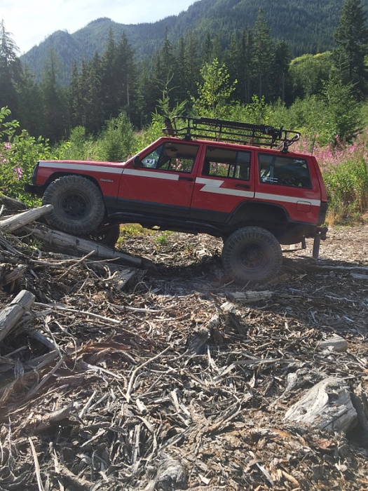 teenage owners post pics-image-3472561458.jpg