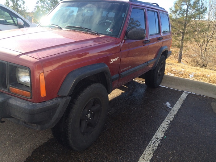 teenage owners post pics-image-19730836.jpg