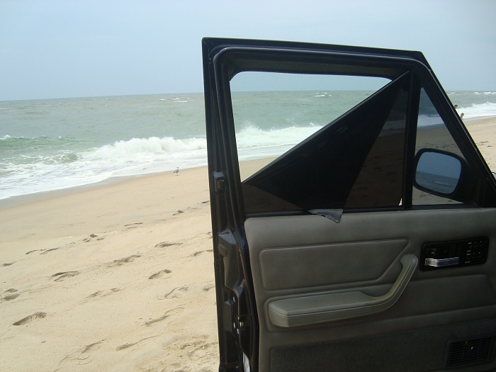 Summer is coming, time for tint!-dsc04537.jpg