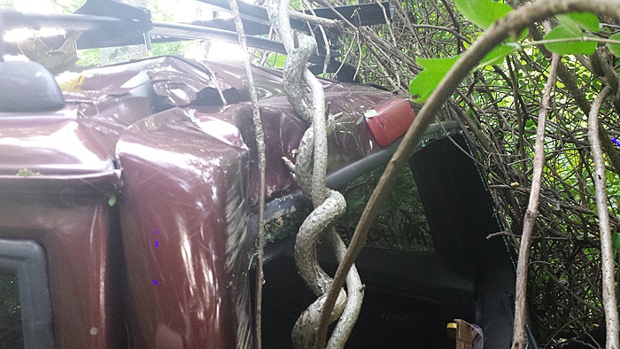 Just wrecked my 2001 XJ...help!-img_0800.jpg